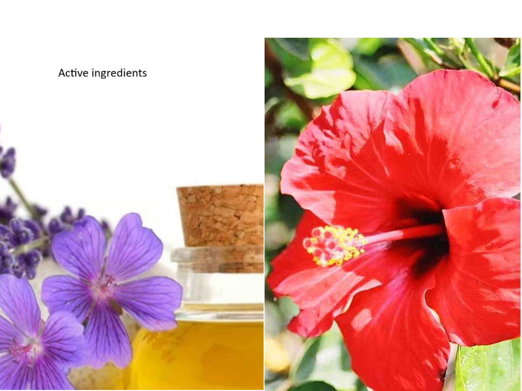 ANTI-AGING EYE AND FACE AND NECK CREAM